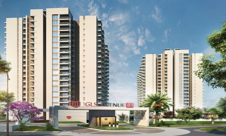 GLS Avenue 81