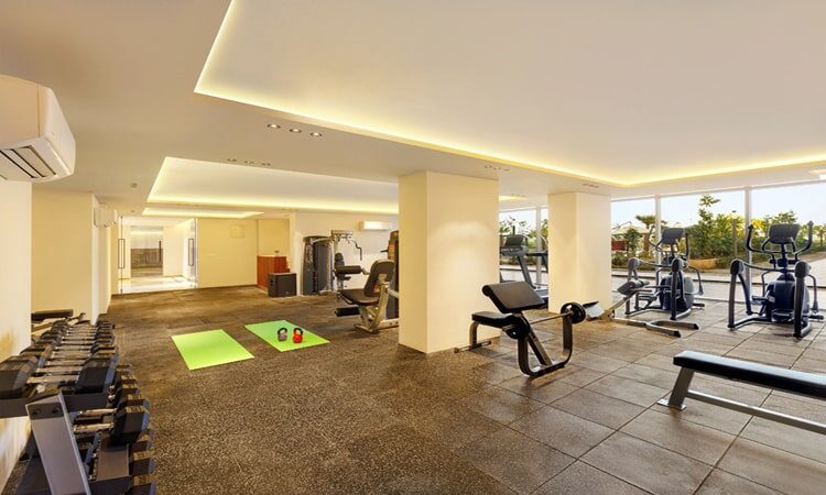 Mapsko Mount Ville Sector 79 Gurgaon