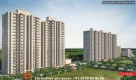 Signature Global Millennia 4