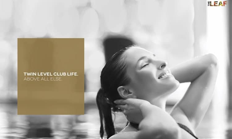 ss group the leaf gallary