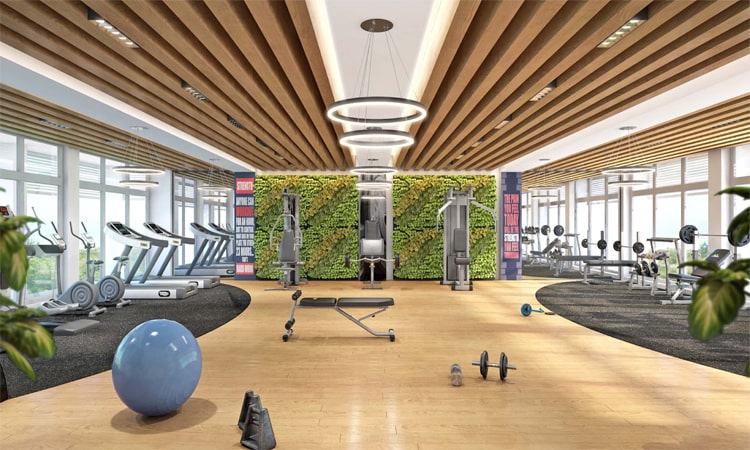 ss group the leaf gym