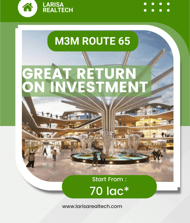 M3M Route 65 Property Details