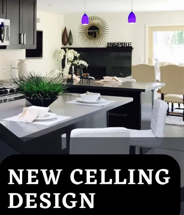 new celling design
