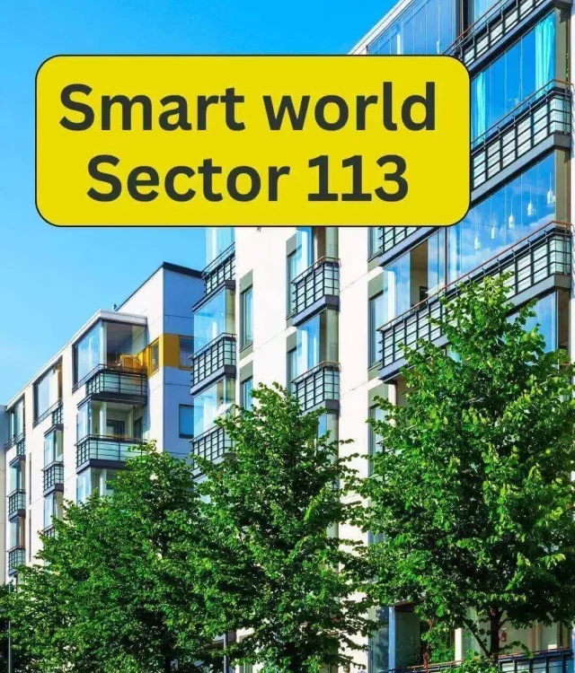 Smart World 113