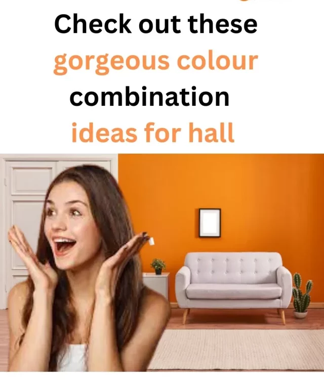 TOP 8 Hall Wall Colour Combination