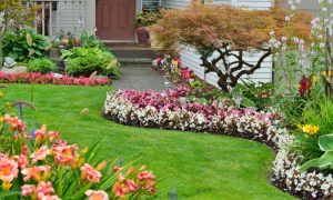 Vastu for Garden