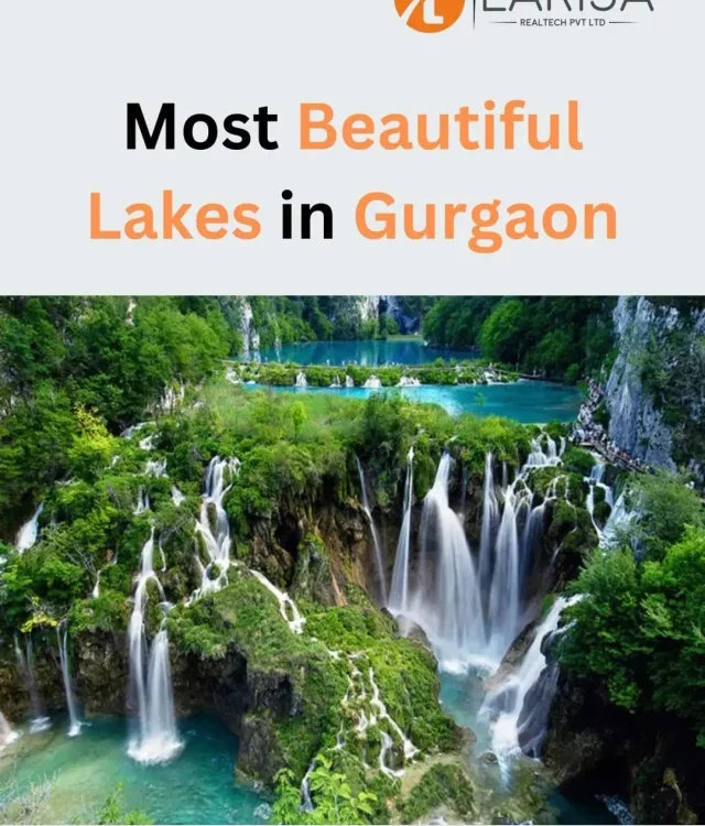 6 Beautiful Lakes to Visit in Gurgaon