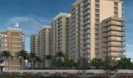 yashika green square