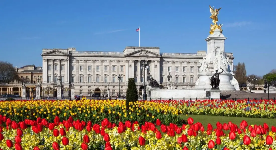 largest house in the world