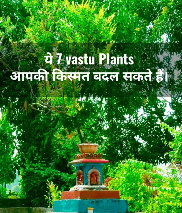 7 Vastu Plants that Attracts Prosperity & Money