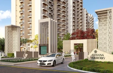 Ashiana Mulberry Blossom