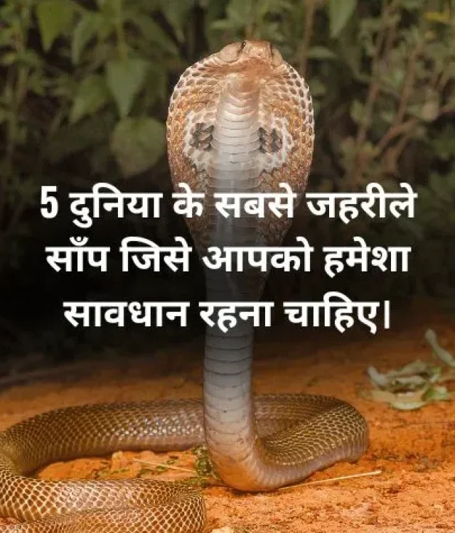 Most Poisonous Snake in the World