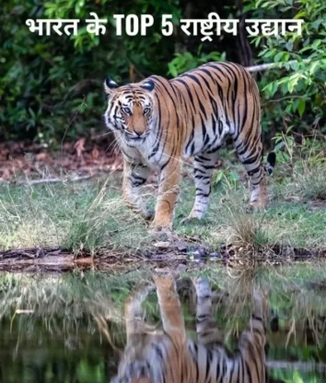 Top 5 Biggest National Park in India