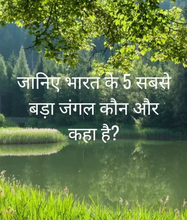 Top 5 Largest Forest in India
