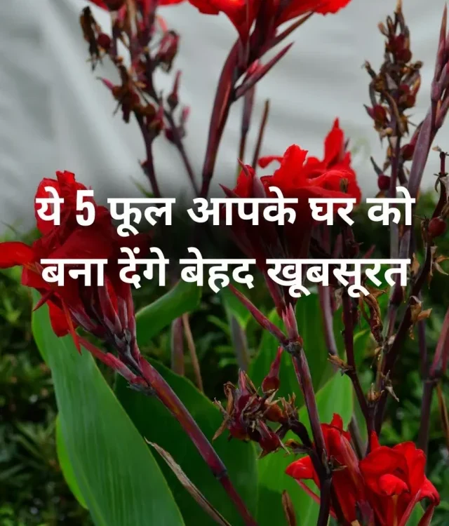 These 5  Monsoon Flowers will make your Home Beautiful 
