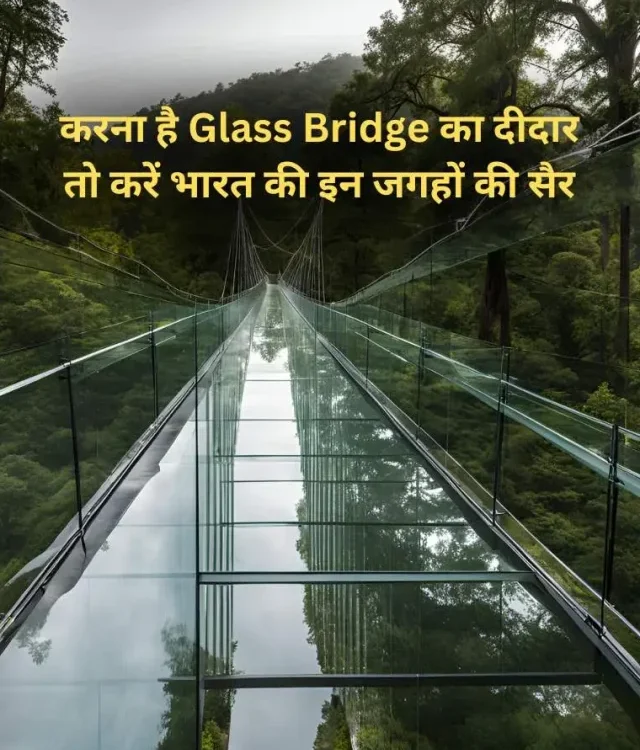 Beautiful Glass Bridge in India
