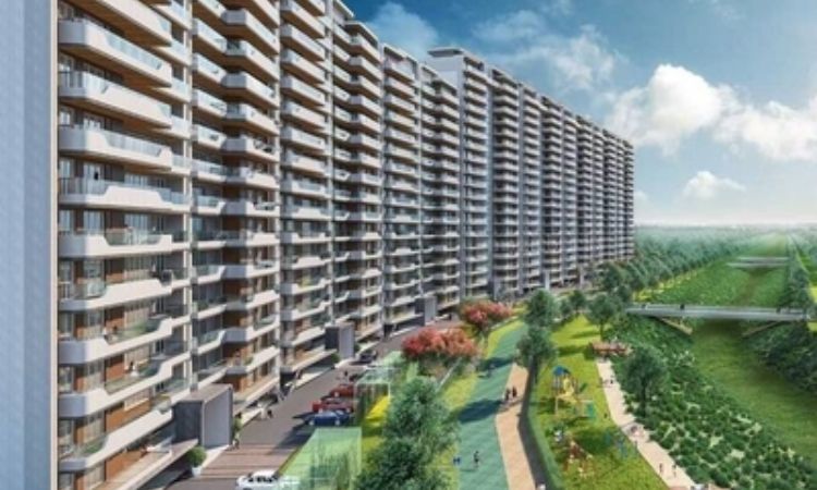 DLF Crest sector 54 Gurgaon