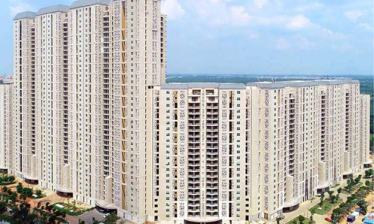 DLF Camellias Sector 42 Gurgaon